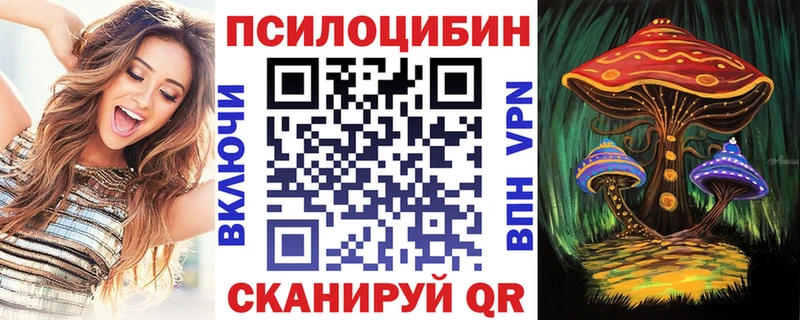 где купить наркотик  Холм  Псилоцибиновые грибы прущие грибы 